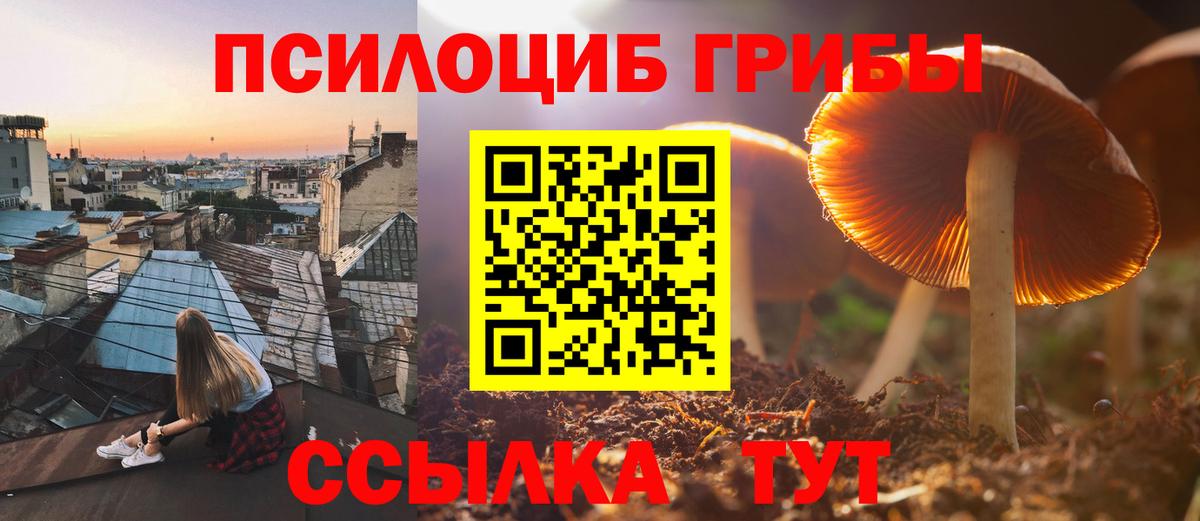 Галлюциногенные грибы GOLDEN TEACHER Лабинск